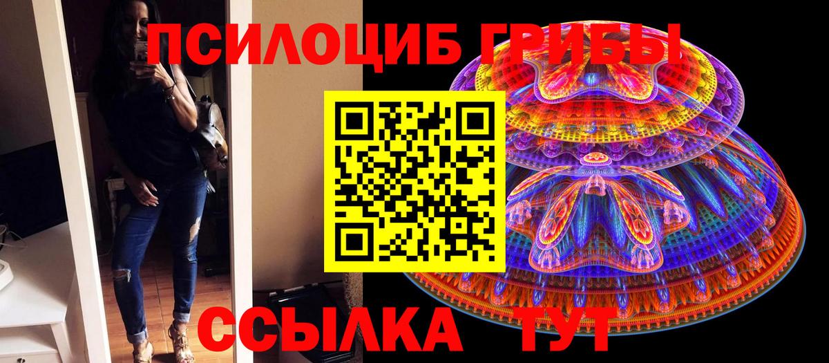 Псилоцибиновые грибы GOLDEN TEACHER Трёхгорный